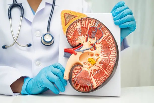 Chronic Kidney Disease